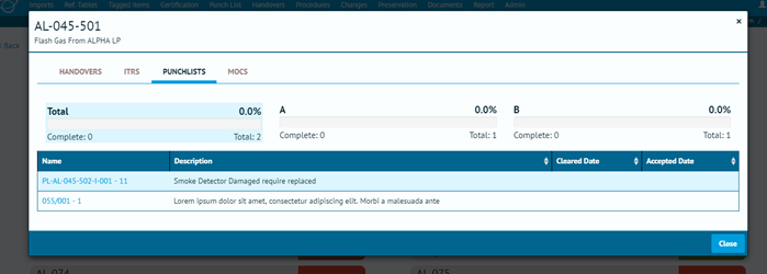 Figure 6. Completions Grid Details page on the Punch List Tab